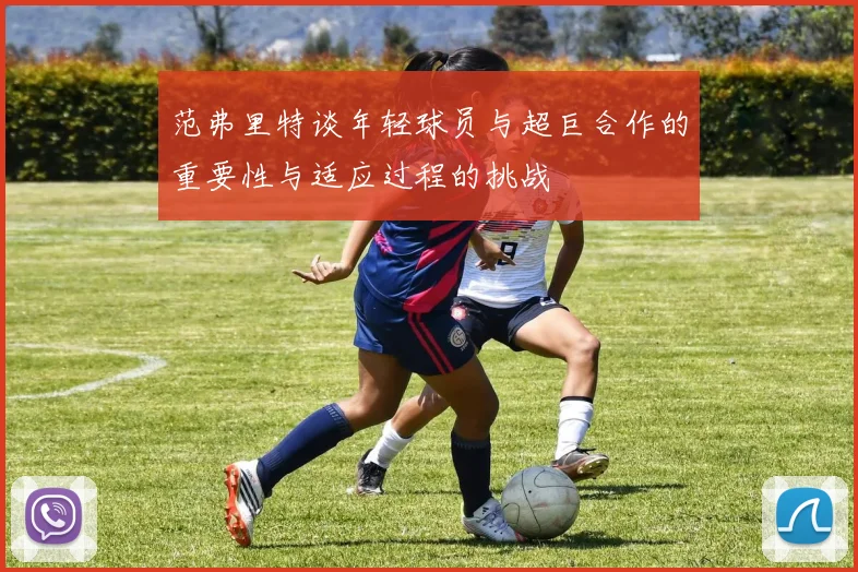 范弗里特谈年轻球员与超巨合作的重要性与适应过程的挑战
