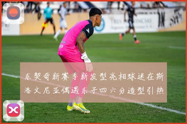 东契奇新赛季新发型亮相球迷在斯洛文尼亚偶遇东子四六分造型引热议