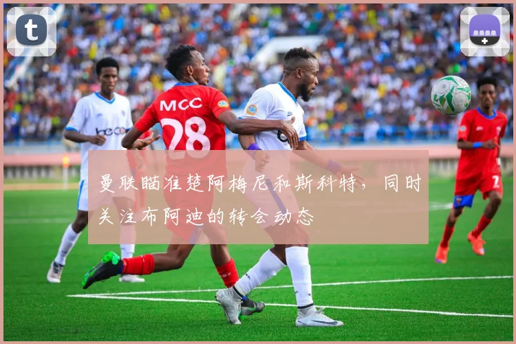 曼联瞄准楚阿梅尼和斯科特，同时关注布阿迪的转会动态
